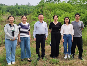创新创业教育学院教职工开展花山公园春游踏青活动